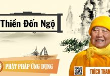 Thiền Đốn Ngộ – Thích Thanh Từ thien don ngo thich thanh tu