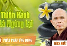 Thiền Hành Là Ngừng Lại – Thích Nhất Hạnh thien hanh la ngung lai thich nh