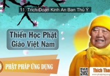 Thiền Học Phật Giáo Việt Nam 11 – Trích Đoạn Kinh An Ban Thủ Ý – Thích Thanh Từ thien hoc phat giao viet nam 11