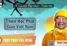 Thiền Học Phật Giáo Việt Nam 12 – Lục Độ Tập Kinh – Thiền Độ – Thích Thanh Từ thien hoc phat giao viet nam 12