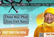 Thiền Học Phật Giáo Việt Nam 36 – Kinh Pháp Bảo Đàn Phẩm 7 – Cơ Duyên, Vô Tận Tạng – Thích Thanh Từ thien hoc phat giao viet nam 36