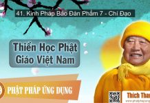 Thiền Học Phật Giáo Việt Nam 41 – Kinh Pháp Bảo Đàn Phẩm 7 – Chí Đạo – Thích Thanh Từ thien hoc phat giao viet nam 41