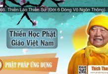 Thiền Học Phật Giáo Việt Nam 66 – Thiền Lão Thiền Sư (Đời 6 Dòng Vô Ngôn Thông) – Thích Thanh Từ thien hoc phat giao viet nam 66
