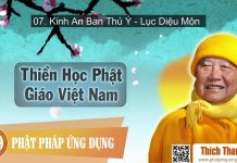 Thiền Học Phật Giáo Việt Nam 7 – Kinh An Ban Thủ Ý – Lục Diệu Môn – Thích Thanh Từ thien hoc phat giao viet nam 7 k