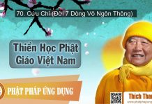 Thiền Học Phật Giáo Việt Nam 70 – Cứu Chỉ (Đời 7 Dòng Vô Ngôn Thông) – Thích Thanh Từ thien hoc phat giao viet nam 70