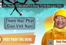 Thiền Học Phật Giáo Việt Nam 74 -Thuần Chân (Đời 12 Dòng Tỳ Ni Đa Lưu Chi) – Thích Thanh Từ thien hoc phat giao viet nam 74