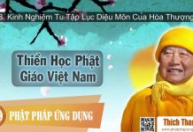 Thiền Học Phật Giáo Việt Nam 8 – Kinh Nghiệm Tu Tập Lục Diệu Môn – Thích Thanh Từ thien hoc phat giao viet nam 8 k