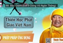 Thiền Học Phật Giáo Việt Nam 88 – Bảo Giám (Đời 9 Dòng Vô Ngôn Thông) – Thích Thanh Từ thien hoc phat giao viet nam 88