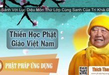 Thiền Học Phật Giáo Việt Nam 9 – So Sánh Với Lục Diệu Môn Thứ Lớp Cùng Sanh Của Trí Khải Đại Sư thien hoc phat giao viet nam 9 s