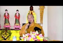 Thiền Khỏi Phiền, Tịnh Không Bệnh, Tu Ngao Du Tự Tại – Thích Trí Huệ thien khoi phien tinh khong benh