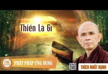Thiền Là Gì – Thích Nhất Hạnh thien la gi thich nhat hanh