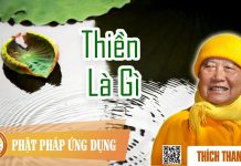 Thiền Là Gì – Thích Thanh Từ thien la gi thich thanh tu