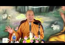 Thiền Niệm Phật – Thích Trí Huệ thien niem phat thich tri hue