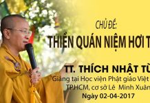 Thiền Quán Niệm Hơi Thở – Thích Nhật Từ thien quan niem hoi tho thich nh