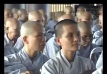 Thiền Sư Ni Bài 24 – Thích Nữ Hạnh Chiếu thien su ni bai 24 thich nu hanh