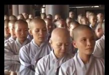 Thiền Sư Ni Bài 32 – Thích Nữ Hạnh Chiếu thien su ni bai 32 thich nu hanh
