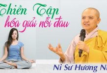 Thiền tập hóa giải nỗi đau – Thích Nữ Hương Nhũ thien tap hoa giai noi dau thich