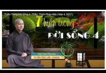 Thiền Trong Đời Sống Phần 4 – Thích Pháp Hòa thien trong doi song phan 4 thic