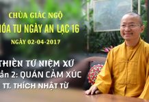 Thiền Tứ Niệm Xứ Phần 2: Quán Cảm Xúc – Thích Nhật Từ thien tu niem xu phan 2 quan cam