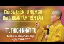 Thiền Tứ Niệm Xứ Phần 3: Quán Tâm Trên Tâm – Thích Nhật Từ thien tu niem xu phan 3 quan tam