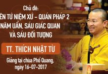 Thiền Tứ Niệm Xứ – Quán Pháp 2: Năm Uẩn, Sáu Giác Quan Và Sáu Đối Tượng – Thích Nhật Từ thien tu niem xu quan phap 2 nam