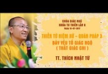 Thiền Tứ Niệm Xứ – Quán Pháp 3: Bảy Yếu Tố Giác Ngộ – Thích Nhật Từ thien tu niem xu quan phap 3 bay