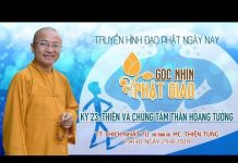 Thiền Và Chứng Tâm Thần Hoang Tưởng – Thích Nhật Từ thien va chung tam than hoang tu