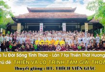 Thiền và Lộ Trình Tâm Giải Thoát – Thích Viên Giác thien va lo trinh tam giai thoat