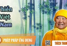 Thiền Việt Nam – Thích Thanh Từ thien viet nam thich thanh tu