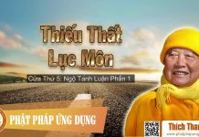 Thiếu Thất Lục Môn Cửa 5 – Ngộ Tánh Luận – Thiền Sư Thích Thanh Từ thieu that luc mon cua 5 ngo tan