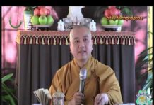 Thỉnh Phật Chuyển Pháp Luân – Thích Pháp Hòa thinh phat chuyen phap luan thic