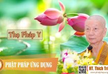 Thọ Pháp Y – Thích Trí Quảng tho phap y thich tri quang