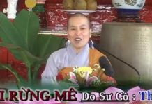 Thoát Khỏi Rừng Mê – Thích Nữ Như Lan thoat khoi rung me thich nu nhu