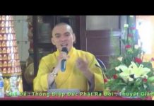 Thông Điệp Đức Phật Ra Đời – Thích Thiện Tuệ thong diep duc phat ra doi thich