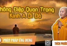 Thông Điệp Quan Trọng Kinh A Di Đà – Thích Phước Tiến thong diep quan trong kinh a di