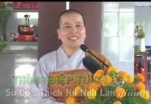 Thông Điệp Từ Chiếc Lá – Thích Nữ Như Lan thong diep tu chiec la thich nu