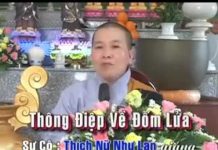 Thông Điệp Từ Đốm Lửa – Thích Nữ Như Lan thong diep tu dom lua thich nu n