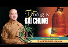 Thống Lý Đại Chúng (Vấn Đáp) – Thích Pháp Hòa thong ly dai chung van dap thich