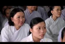 Thuận Thế Vô Thường – Thích Trí Huệ thuan the vo thuong thich tri hu
