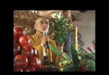Thực Tại Hiện Tiền – Thích Tuệ Hải thuc tai hien tien thich tue hai
