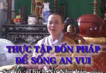 Thực Tập Bốn Pháp Để Sống An Vui – Thích Nữ Như Lan thuc tap bon phap de song an vui