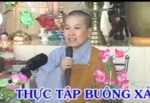 Thực Tập Buông Xả – Thích Nữ Như Lan thuc tap buong xa thich nu nhu l