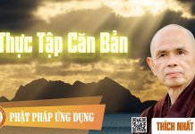 Thực Tập Căn Bản – Thích Nhất Hạnh thuc tap can ban thich nhat hanh