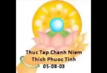 Thực Tập Chánh Niệm – Thích Phước Tịnh thuc tap chanh niem thich phuoc