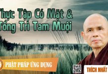 Thực Tập Có Mặt & Tổng Trì Tam Muội – Thích Nhất Hạnh thuc tap co mat tong tri tam muo