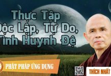 Thực Tập Độc Lập, Tự Do, Tình Huynh Đệ – Thích Nhất Hạnh thuc tap doc lap tu do tinh huyn
