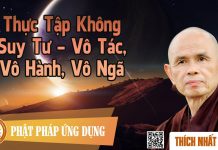 Thực Tập Không Suy Tư – Vô Tác, Vô Hành, Vô Ngã – Thích Nhất Hạnh thuc tap khong suy tu vo tac vo