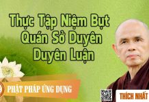 Thực Tập Niệm Bụt – Quán Sở Duyên Duyên Luận – Thích Nhất Hạnh thuc tap niem but quan so duyen