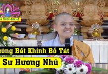 Thường Bất Khinh Bồ Tát – Thích Nữ Hương Nhũ thuong bat khinh bo tat thich nu