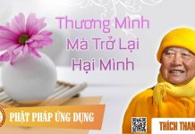 Thương Mình Mà Trở Lại Hại Mình – Thích Thanh Từ thuong minh ma tro lai hai minh